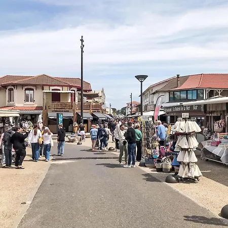 Domaine Du Belvedere-2 By Interhome Mimizan-Plage