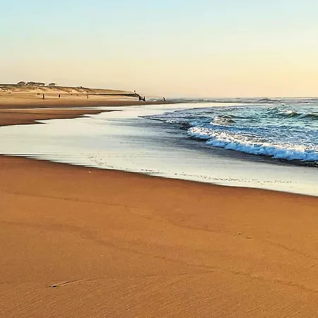 Διαμέρισμα Domaine Du Belvedere-2 By Interhome Mimizan-Plage